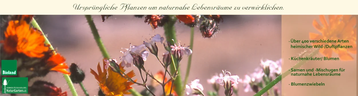 gartenkalender mit saatgut Floragard Terre Unity Adventskalender Bio Saatgut Samen Samenfest   HaGaFeShop