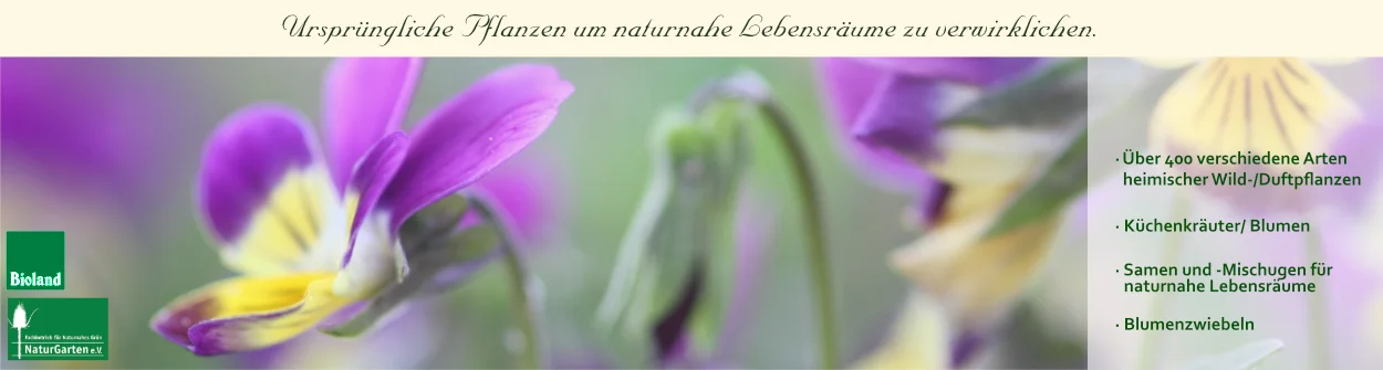 künstlicher weihnachtsbaum.de künstlicher Weihnachtsbaum – Bloombox Club DE main image 0