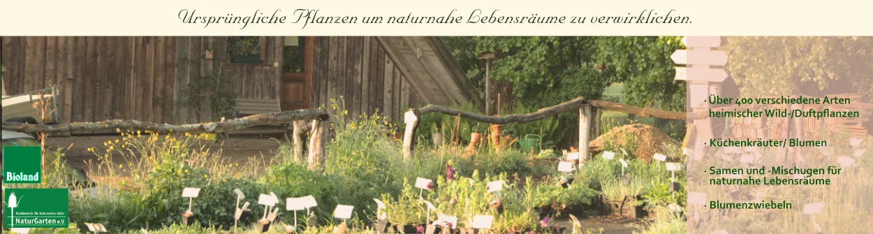 weihnachtsbaum künstlich 180 Künstlicher Weihnachtsbaum 180cm – Naturgetreu & 5 Jahre Garantie –  pandaloo.ch main image 0